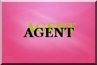 Agent double