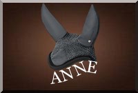 Bonnet d'âne