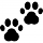 Empreintes animal