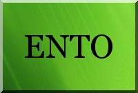Entonnoir