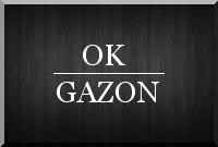 Hockey sur gazon