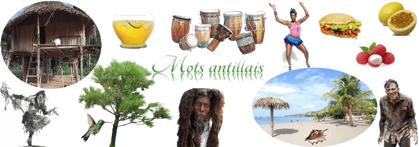 Rongeur D Amérique Du Sud Mots Fléchés