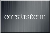 La mouche du coche