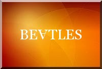 La tournée des Beatles