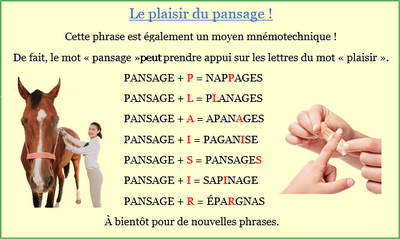 Pansage