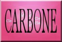 Les cycles du carbone