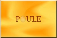 L'oeuf de la poule