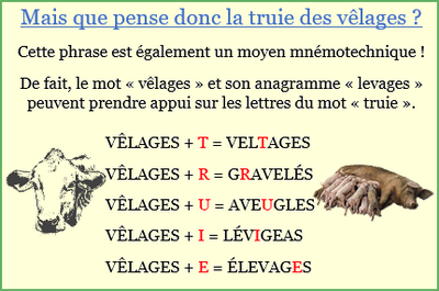 Velages