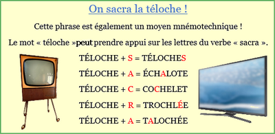 Teloche