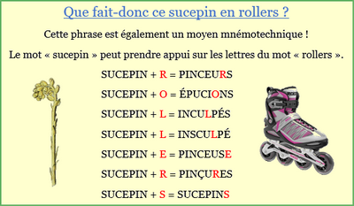 Sucepin