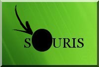Rentrer dans un trou de souris