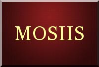 Siamois
