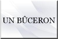 Un bûcheron sans hache