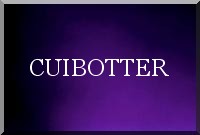 Une botte en cuir