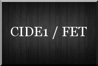 Un suicide parfait