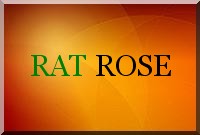 Un verrat rose