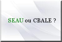 Verseau ou Balance ?